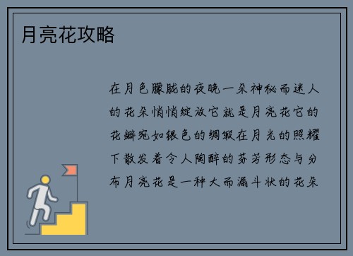 月亮花攻略